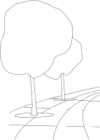 Path