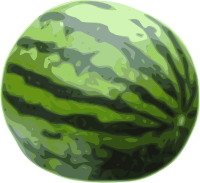 Watermelon