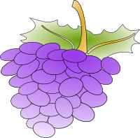 Grape