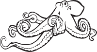 Octopus