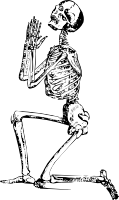 Skeleton