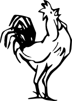 Rooster