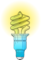 Bulb