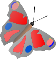 Butterfly