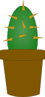 Cactus