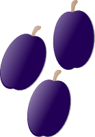 Plum