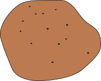 Potato