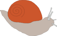 Snail