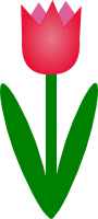 Tulip