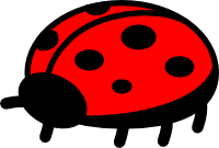 Ladybird