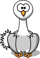 Ostrich