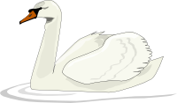 Swan