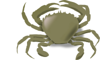 Crab