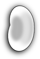 Bean
