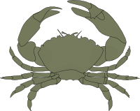 Crab