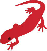 Саламандра