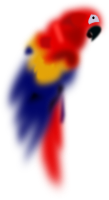 Parrot