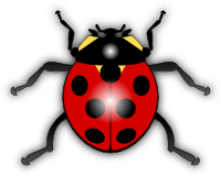 Ladybug