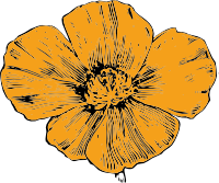 Poppy