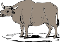 Gaur