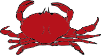 Crab