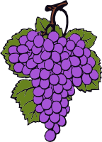 Grape