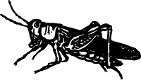 Кузнечик