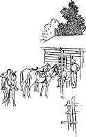 Stable