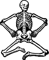 Skeleton