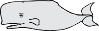 Whales