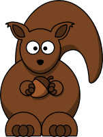 Squirrel