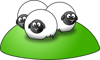 Sheep