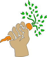 Carrot