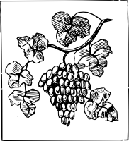 Виноград