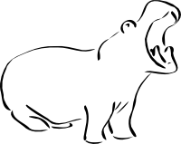 Hippopotamus