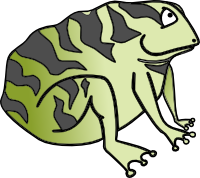 Toad