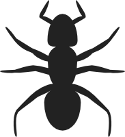 Ant