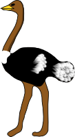 Ostrich