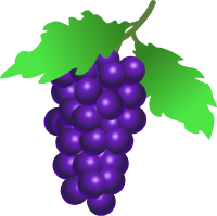 Grape