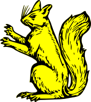 Squirrel