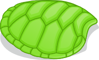 Shell
