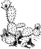 Cactus