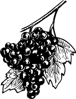 Виноград