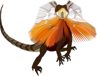 Lizard