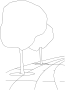 Path