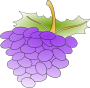 Grape