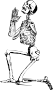 Skeleton