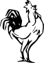 Rooster