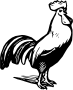 Rooster
