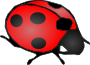Ladybird